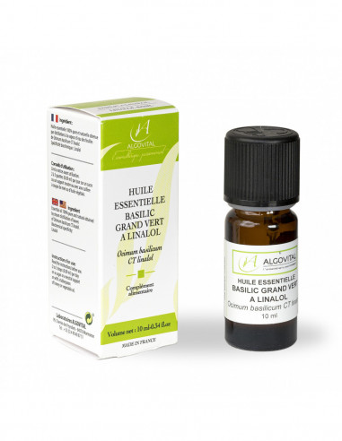 Huile Essentielle Basilic Bio Grand Vert